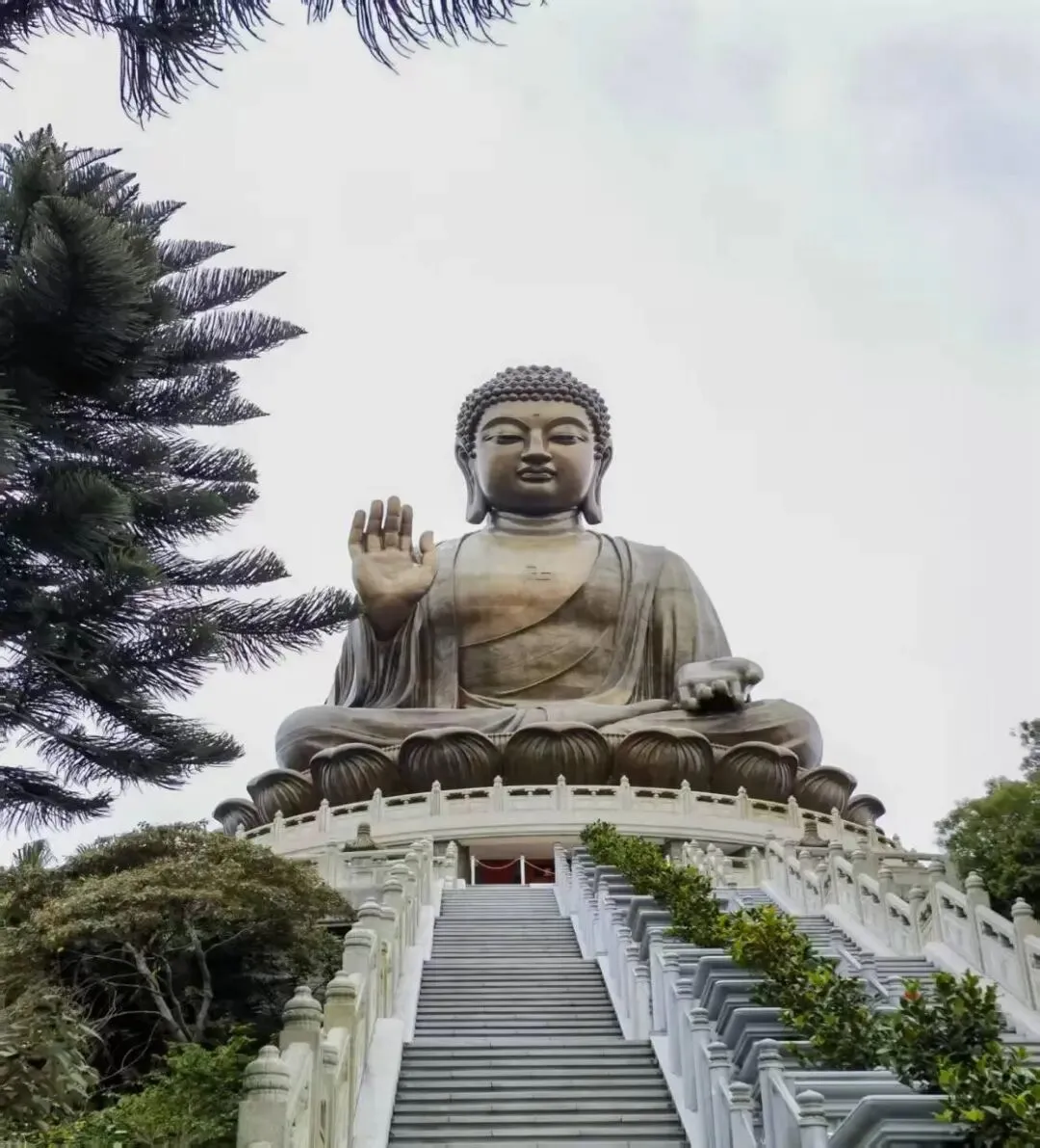 1767005786142907.png 2.png